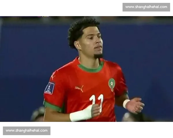 心跳加速！世界杯黑马的每一次进球，都牵动人心！