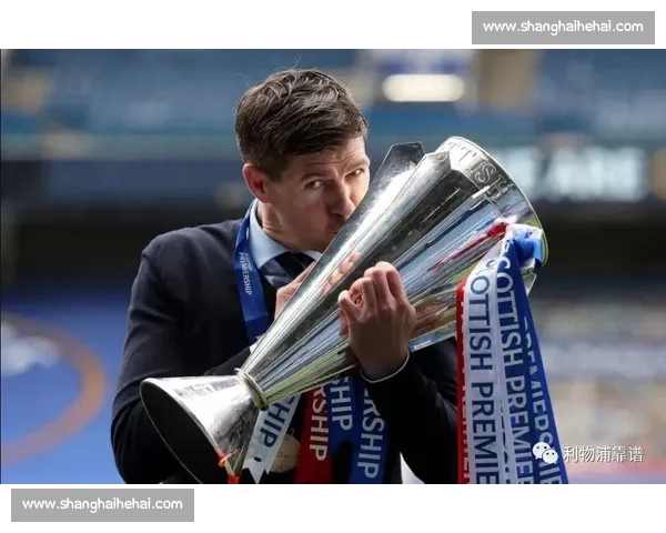 球迷的狂欢与呐喊，共同见证世界杯冠军之路！